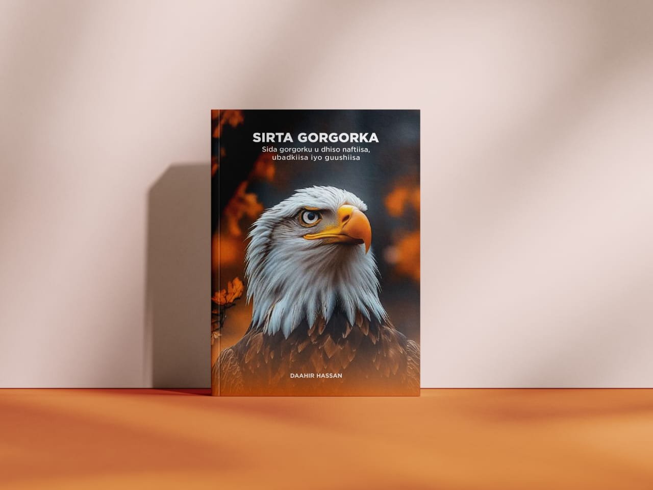 SIRTA GORGORKA cover